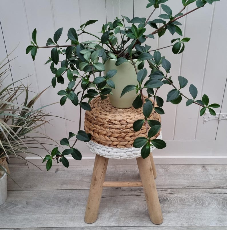 Handcrafted Round Water Hyacinth Wooden Stool AZRIVA