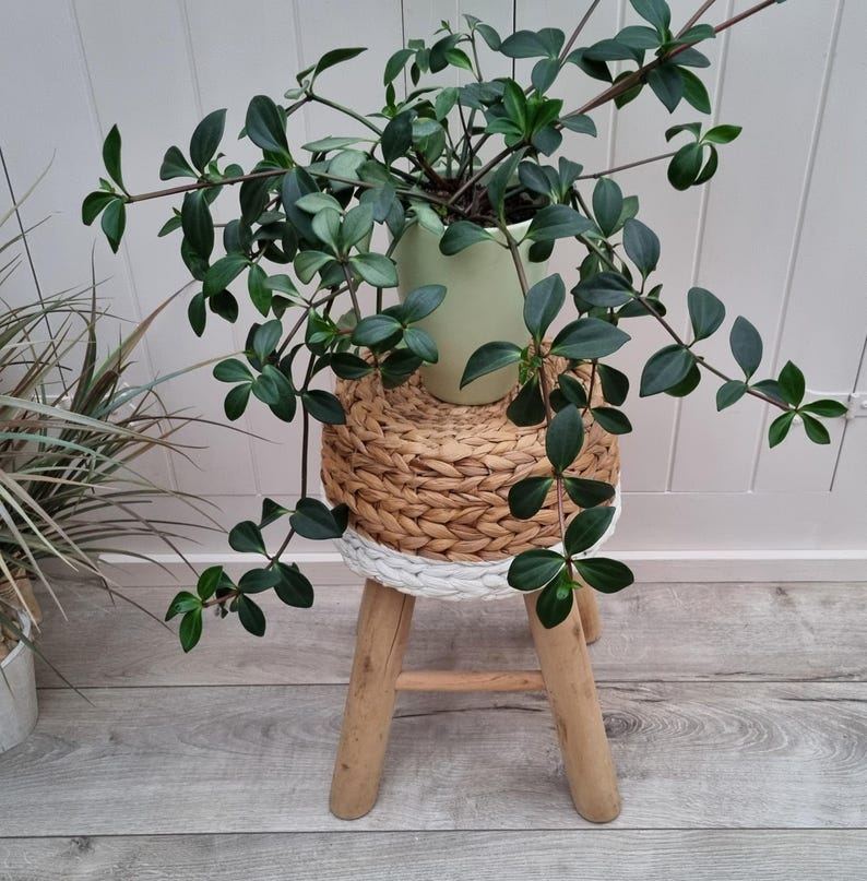 Handcrafted Round Water Hyacinth Wooden Stool AZRIVA