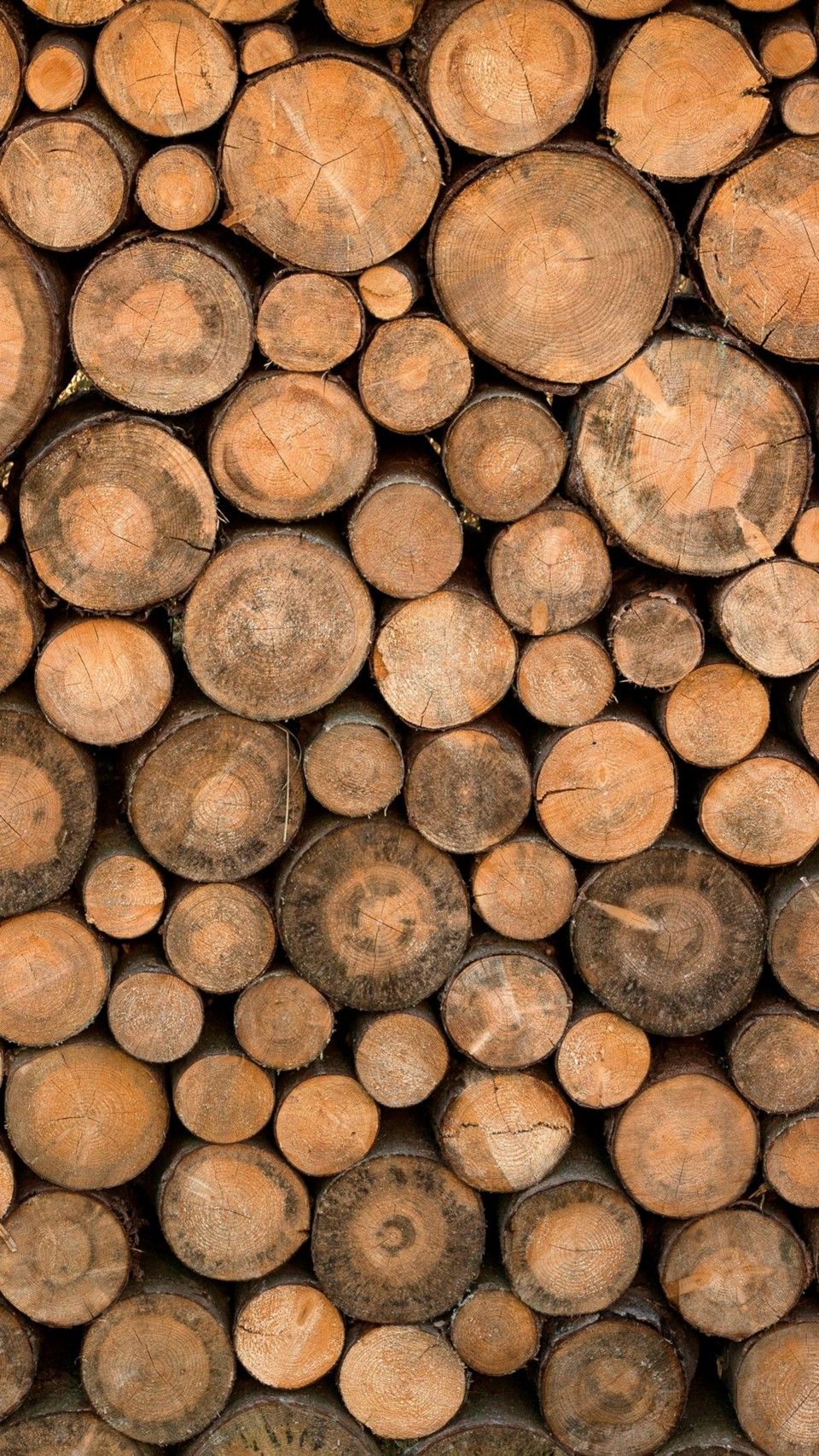 Selecting natural eucalyptus wood